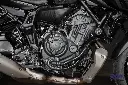 _DSC6973.webp