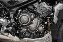 _DSC7032.webp
