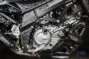 _DSC7077.webp