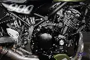 _DSC7271.webp