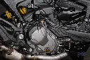 _DSC7359.webp