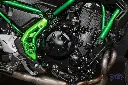 _DSC8136.webp