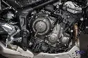 _DSC8450.webp