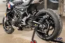 _DSC8456.webp