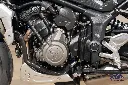 _DSC8954.webp
