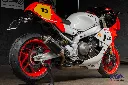 _DSC9539.webp