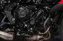 _DSC9910.webp