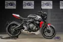 TRIUMPH TRIDENT 660